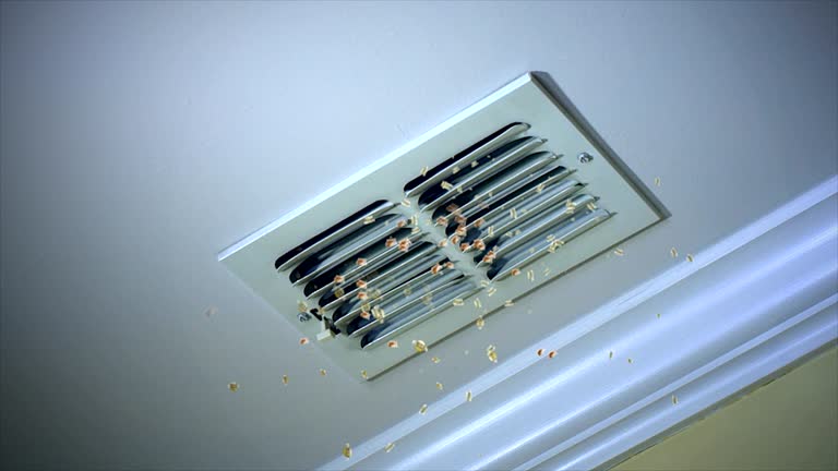 Best Air Duct Cleaning Near Me  in Rhome, TX