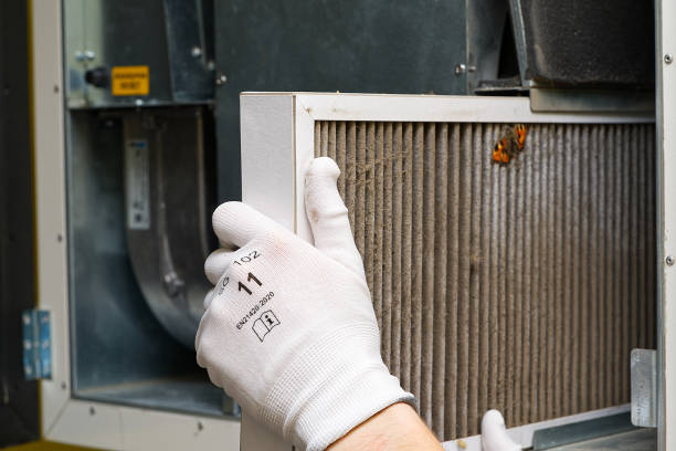 Best Ductwork Cleaning Services  in Rhome, TX