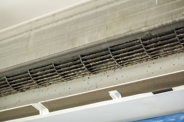 Best Affordable Duct Cleaning Services  in Rhome, TX